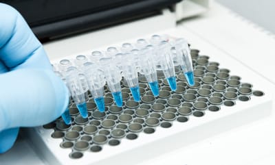 PCR tube strips in a thermal cycler block